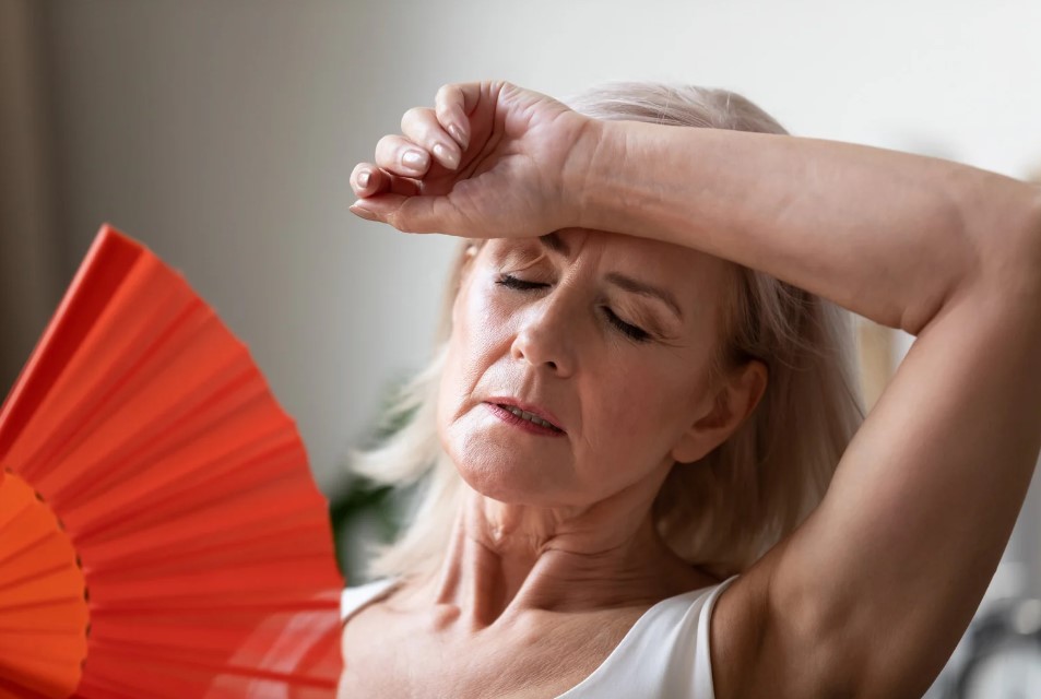 Die Wechseljahre, Ein umfassender Leitfaden zur Menopause